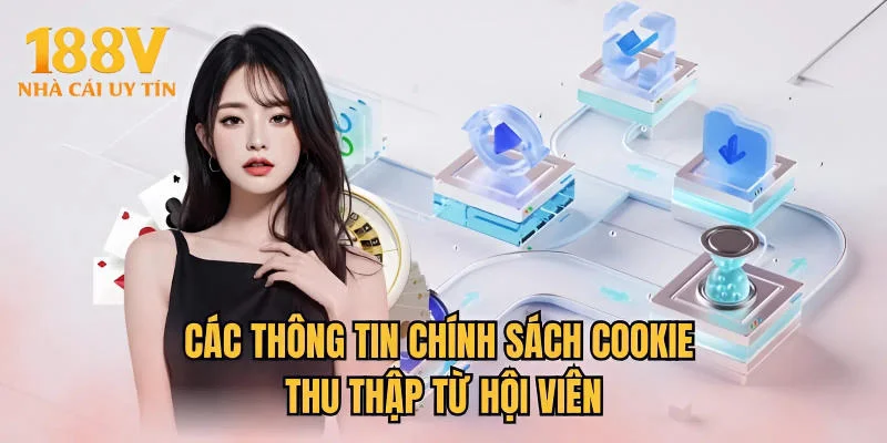 Các thông tin chính sách cookie thu thập từ hội viên