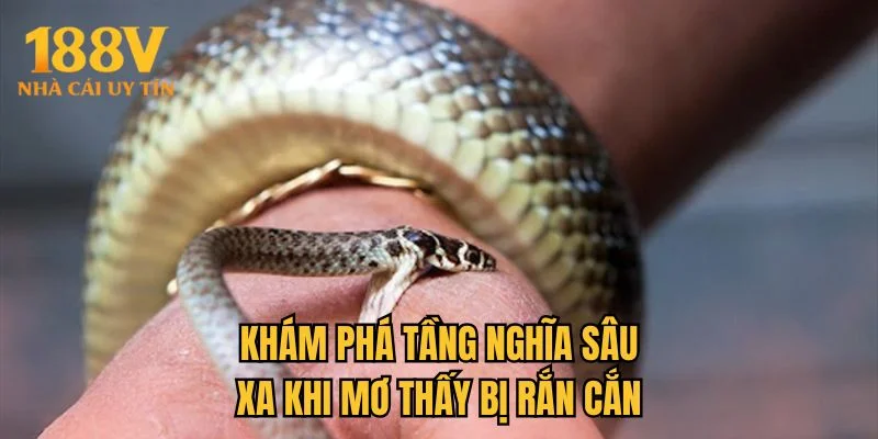 Khám phá tầng nghĩa sâu xa khi mơ thấy bị rắn cắn
