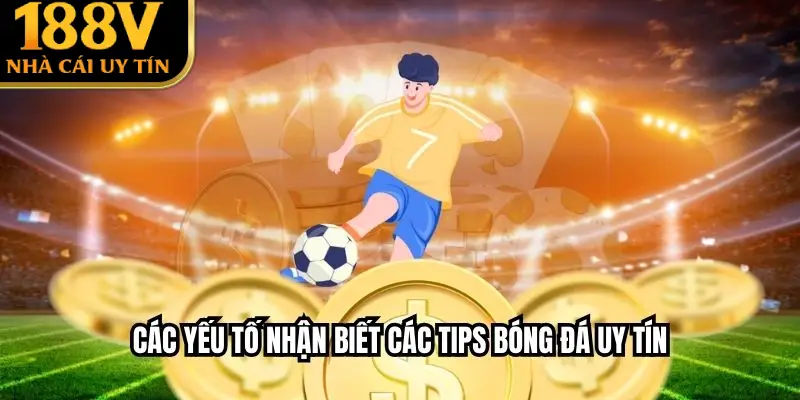 Các yếu tố nhận biết các tips bóng đá uy tín