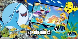 Nạp Rút Bắn Cá Với Giao Dịch An Toàn Và Nhanh Chóng